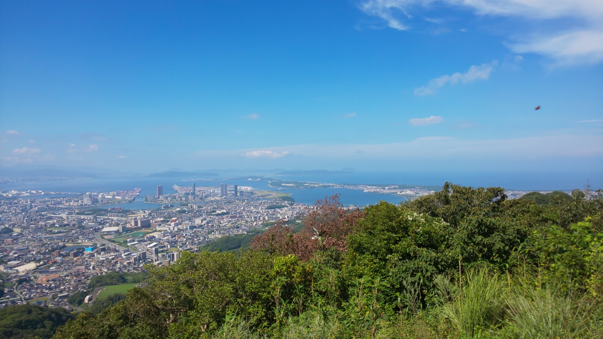 宗像市陵厳寺一丁目のメイン画像