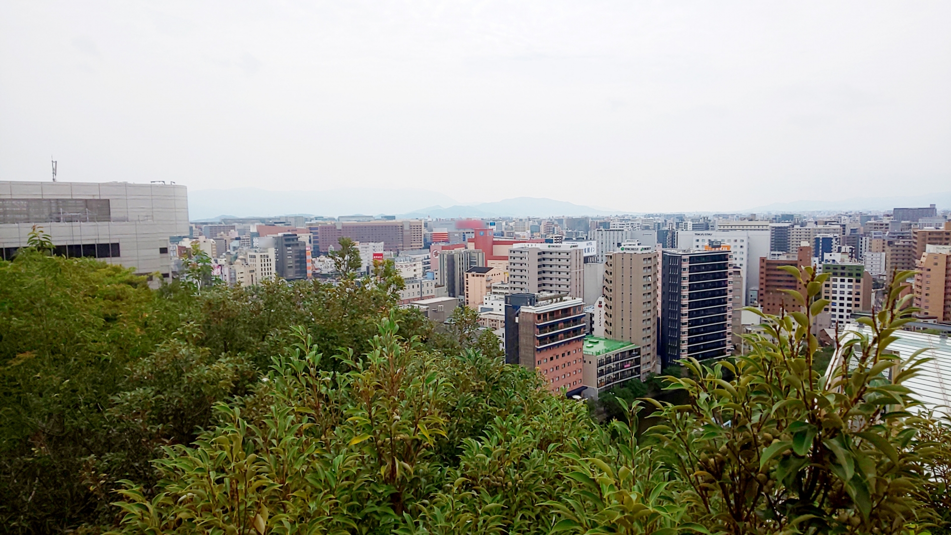 福岡市博多区千代二丁目のメイン画像