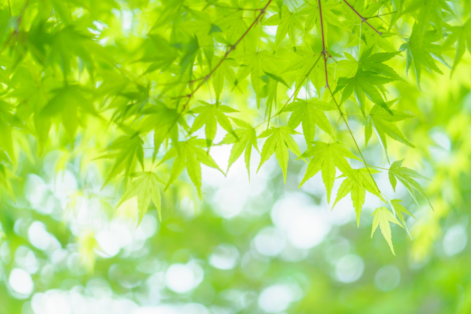 公園や公共施設