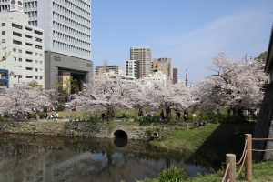 福岡市中央区城内の中古一戸建ての中古一戸建て最新販売事例と暮らし